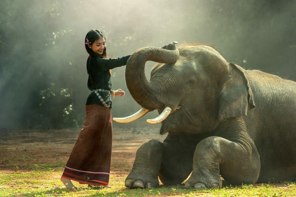 girl, elephant, petting