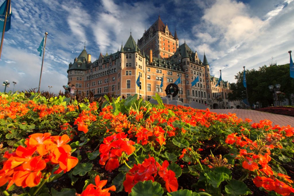 Flowers blooming in Quebec City, Canada
